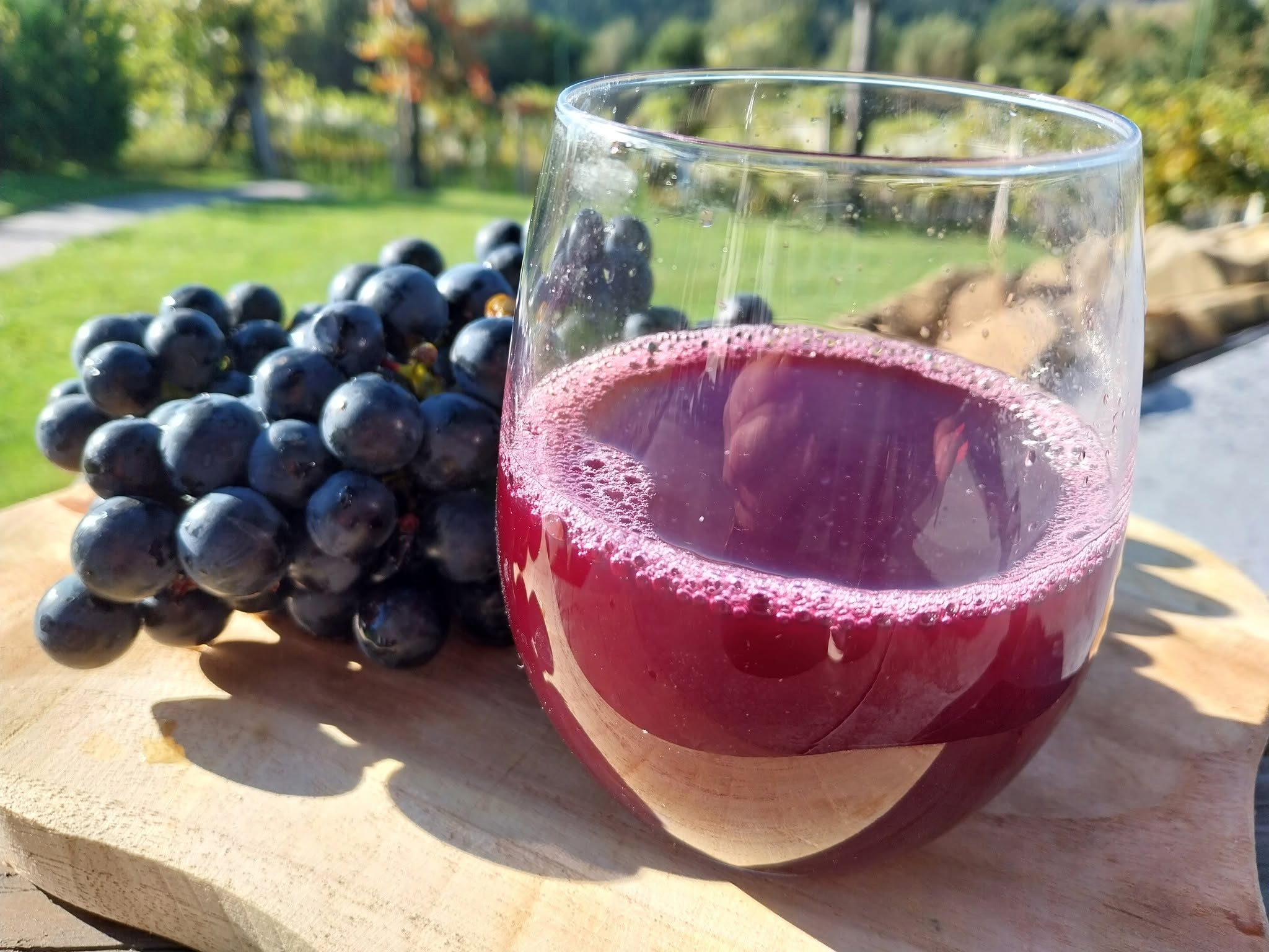 Naturalny sok z ciemnych winogron z Winnicy Jakubowej