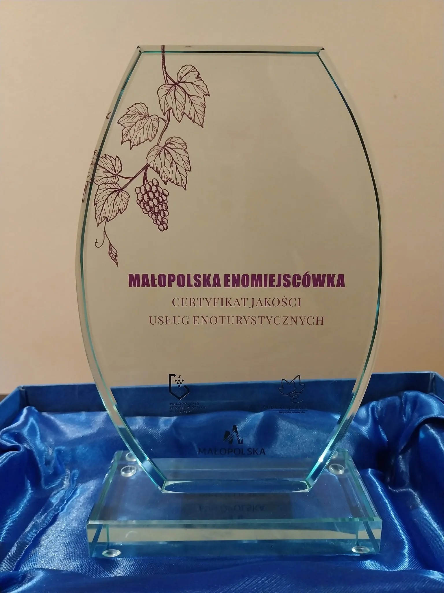 Dojrzewające grona winogron w pełnym słońcu