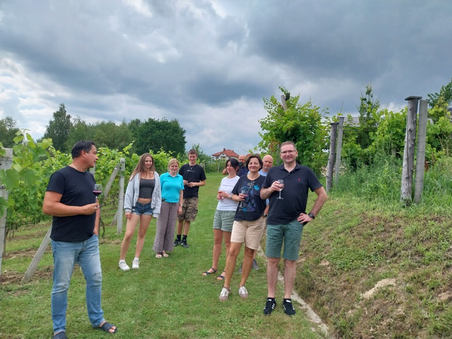 Spacer i degustacja wina w rzędach winorośli