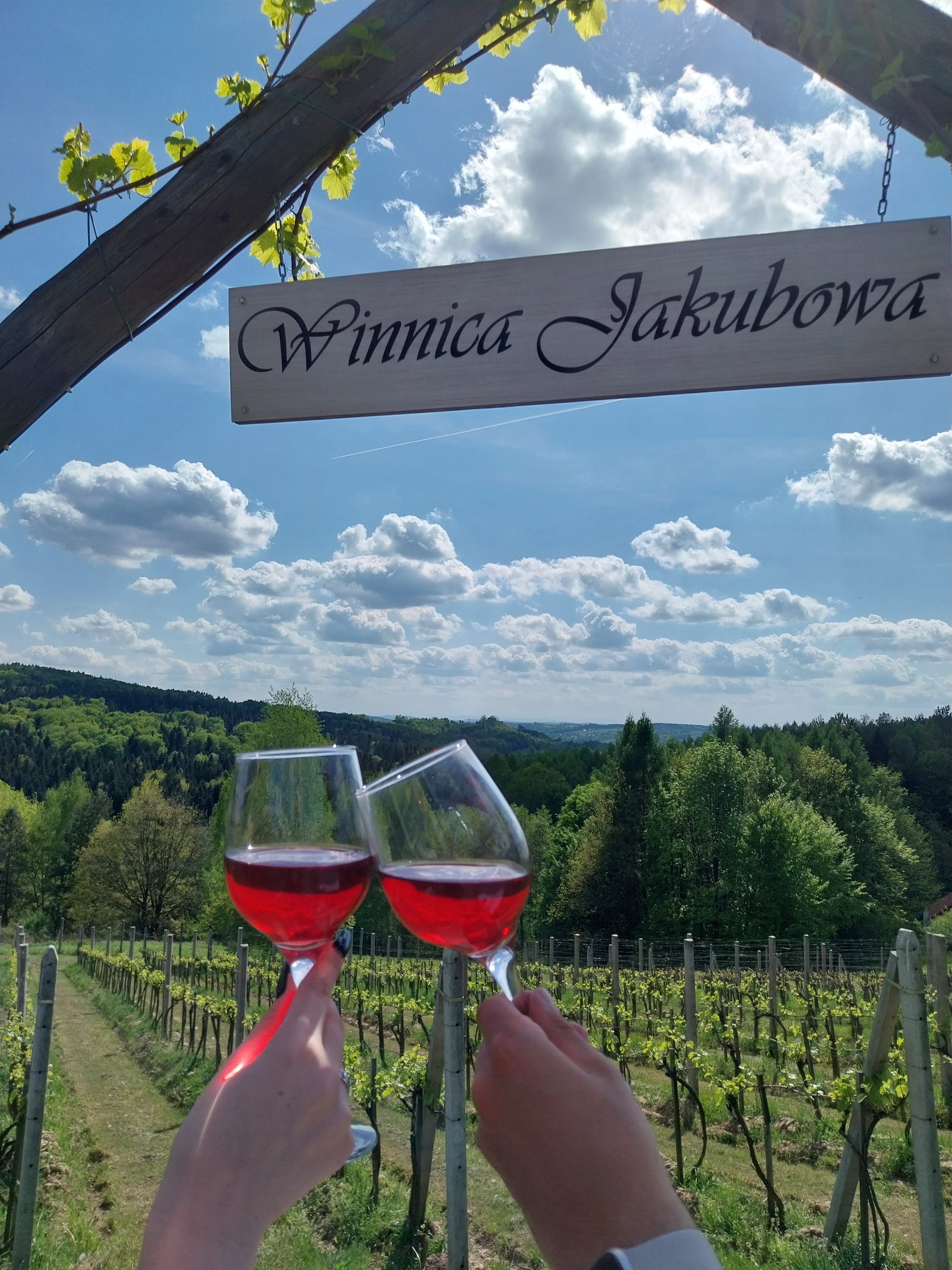 Powitanie i kieliszek wina w Winnicy Jakubowej